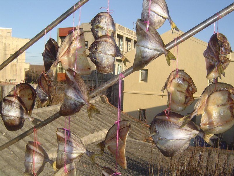 象魚乾