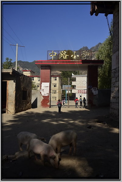 川藏照片 130-1.jpg