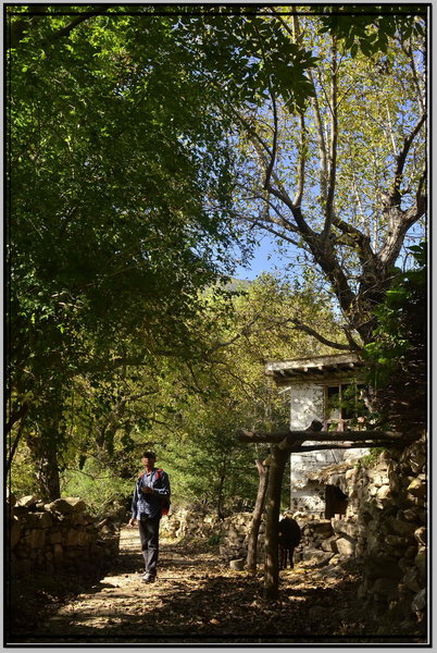 中路村沿景.jpg