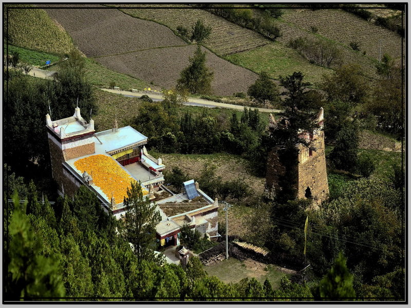 川藏照片 323-1.jpg