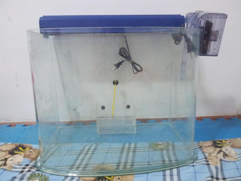 魚缸.JPG