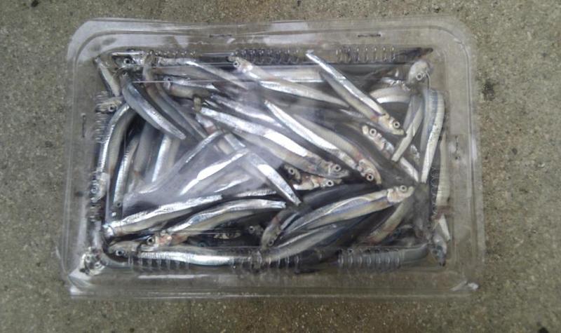 野生現撈丁香魚(300g/盒)