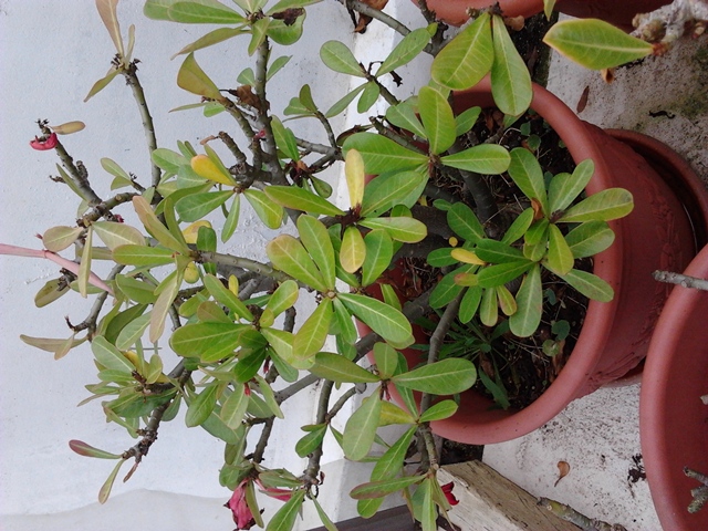 2012-06-16 16.51.08.jpg