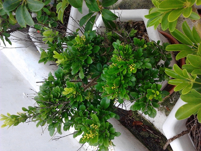 2012-06-16 16.52.00.jpg