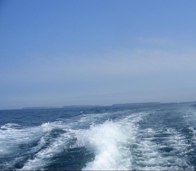 040611tz13orkq9duprzhg.jpg