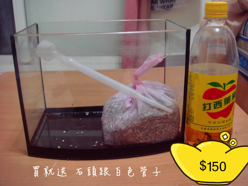 魚缸
