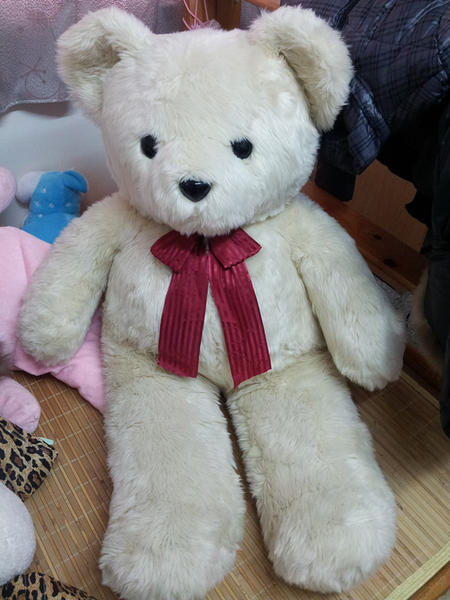 100公分大熊娃娃