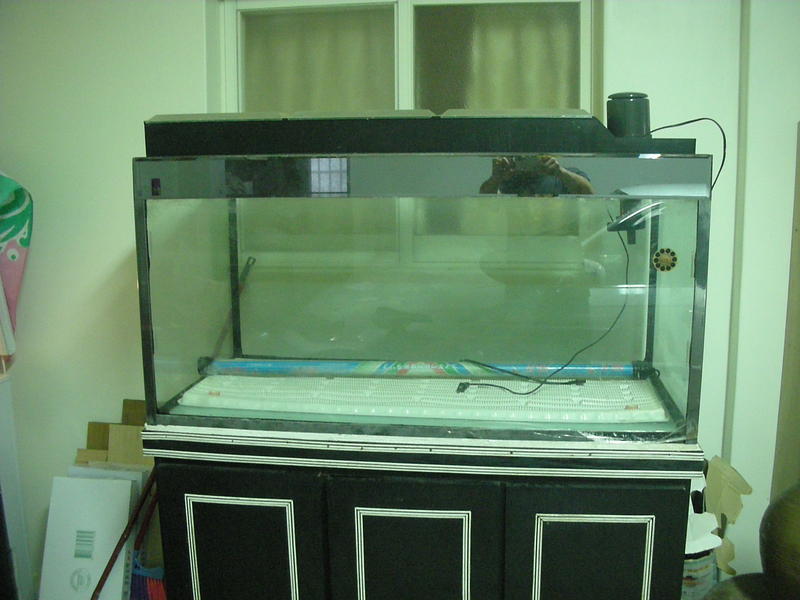 DSCN1399.JPG